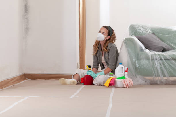 Reliable Mold Remediation contractor in Redwood, OR by 24 Hour Mold Removal